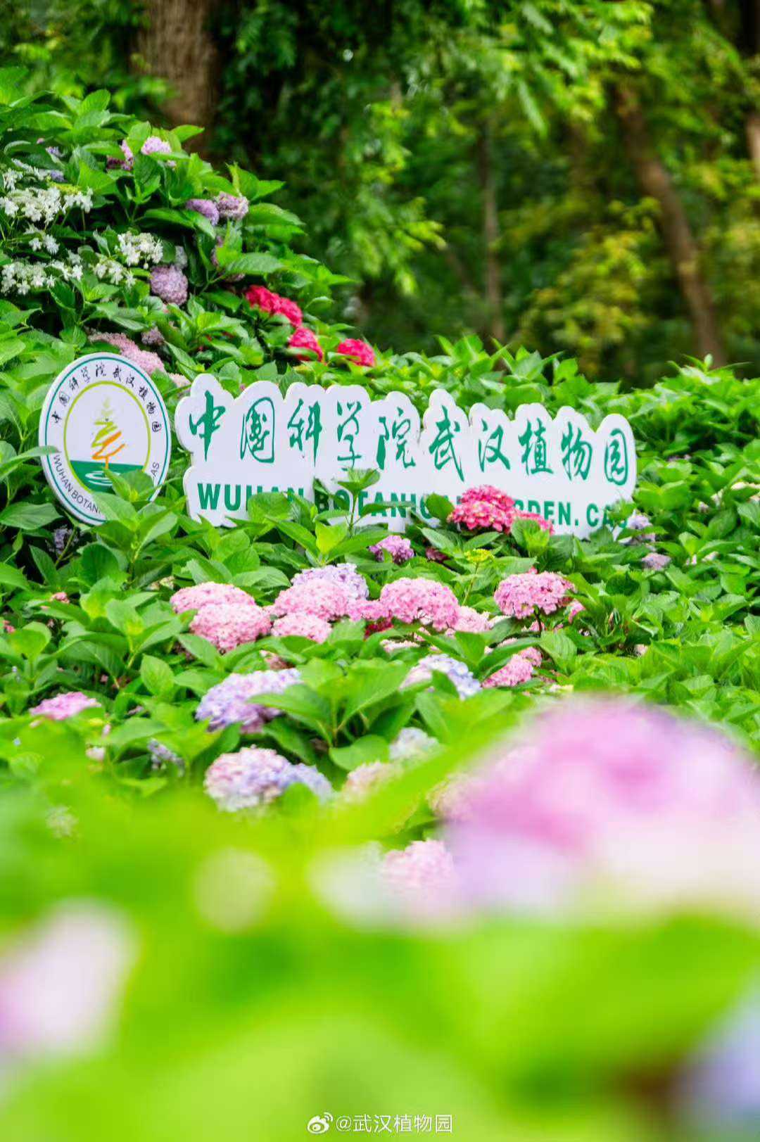 武汉植物园